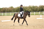 SBM_006506