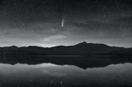 Something in the Night