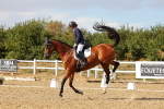 SBM_007497