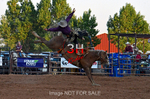 3HRodeo7-12-24_LJD_3HR4058_LJD