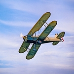 Stampe