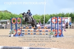 BPP_7439