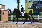 263-Jezz.Palmer-Toddington.Debut portfolio