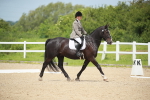 SBM_017822
