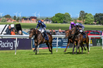 120526-Race 3-Merlier-7799