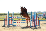 SBM_001895