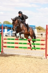 SBM_006646