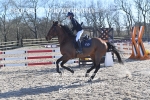 BPP_6323