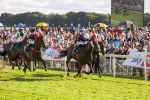 240824-Race 7-Sir Busker-9246