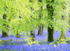 Stepping into Blue