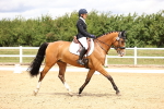 SBM_002963