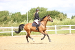 SBM_006154