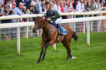 260823-Race 6-Inquisitively-0878