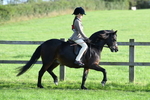 SBM_54025