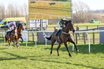 050325-Race 3-Ensel Du Perche-9488