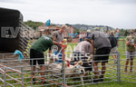 Guernsey Agricultural Show 2021-94
