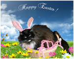 Happy Easter!