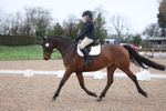 Unaffiliated Dressage portfolio