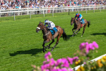 120725-Race 4-Al Qareem-5798