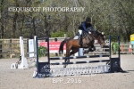 BPP_2916