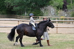 WJ7_9677