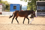 SBM_08178
