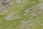 Duddon Long-219