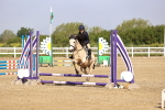SBM_000184