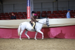 SBM_08017