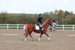 SBM_000990