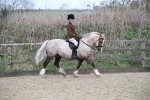 SBM_007150