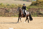SBM_009890