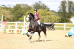 SBM_003532