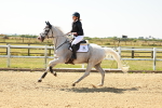 SBM_000798