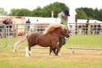 SBM_04439