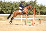 SBM_000806