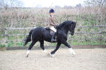 SBM_006057