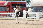 SBM_15853