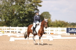 SBM_03704