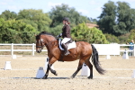 SBM_013961