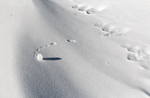 Winter - 14
