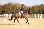 SBM_009180