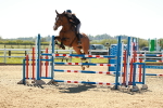 SBM_001808