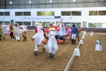 SBM_007975