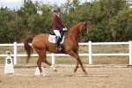 SBM_011814