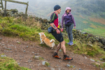 Langdale-2281