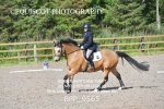 BPP_9565