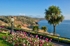 NEW TQ194 Beautiful tulip flowerbed on Babbacombe Downs