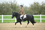 LAD_3484