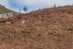 Stybarrow Dodd-722